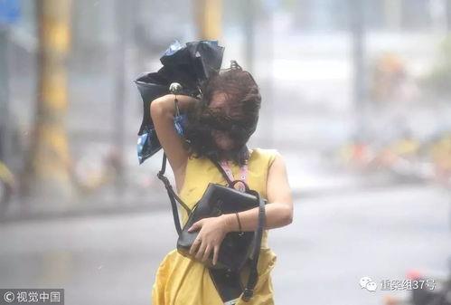 山竹爆料深圳视频最新版,深圳视频版揭秘惊人内幕 第2张 山竹爆料深圳视频最新版,深圳视频版揭秘惊人内幕 第2张